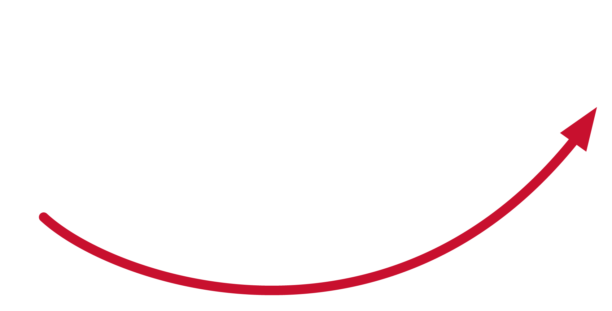 Logo FIIF negativo PNG